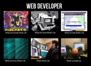 Web Developer What I Do