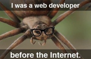 I Was A Web Developer Before The Internet