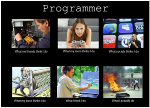 Programmer What I Do