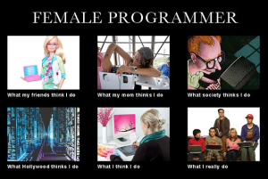 Female Developers What I Really Do  Meme