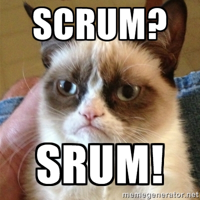 Scrum Srum Grumpy Cat Developer Meme