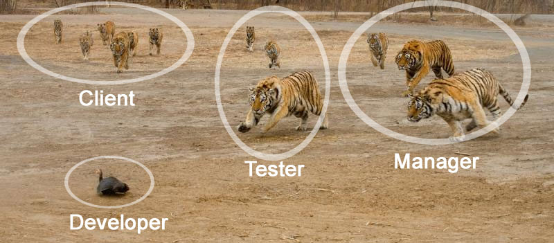 Client Test And Manager Attack Developer Meme