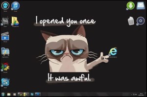 Grumpy Cat Opened Internet Explorer Once It was Awful Meme
