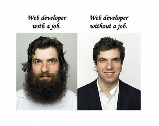 Web Developer With A Job Web Developer Without A Job Meme