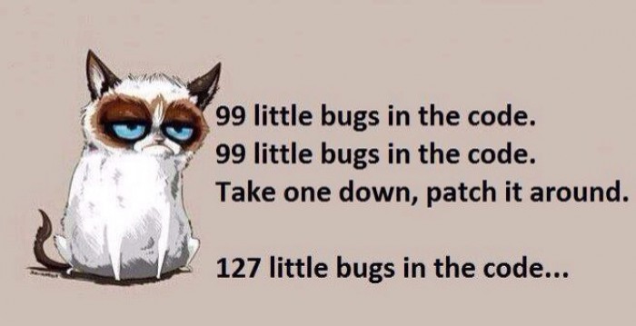 Grumpy Cat Patching Bugs Developer Meme